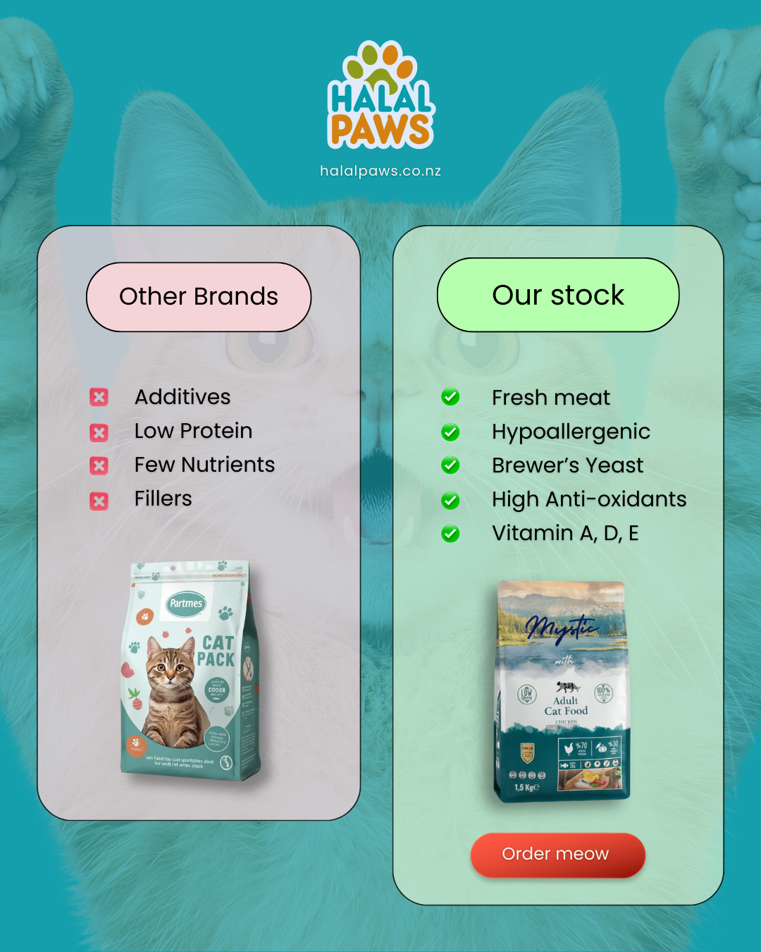 Mystic Adult Cat Food vs. Standard Brands: The Ultimate Comparison for NZ Cat Owners