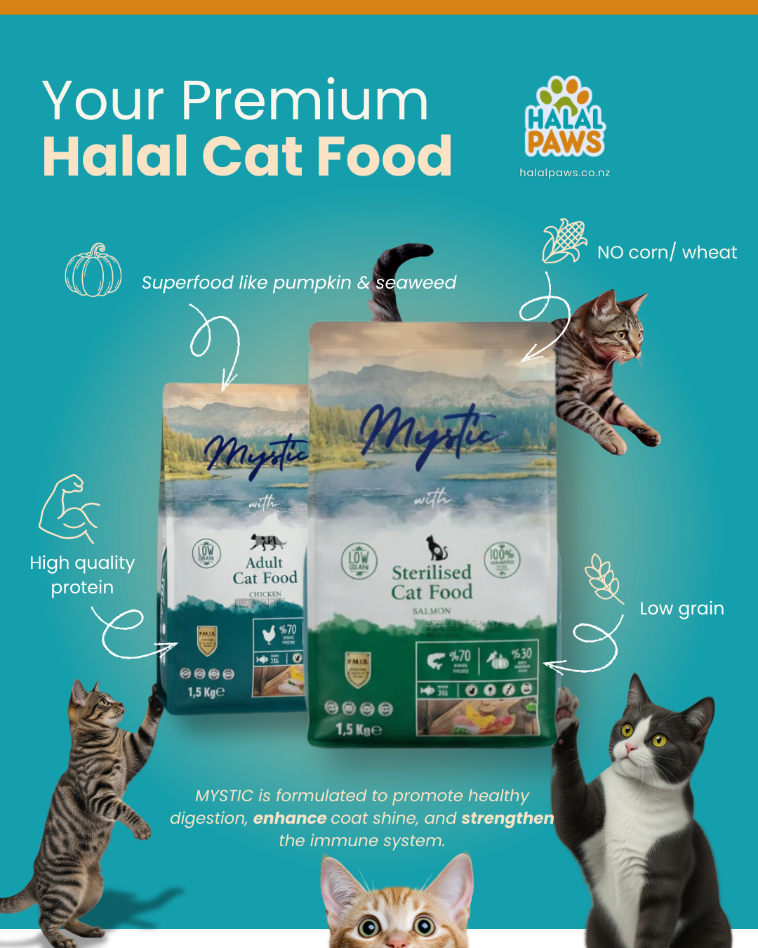 Premium Halal Cat Food NZ | Mystic Low Grain Cat Food | Halal Paws
