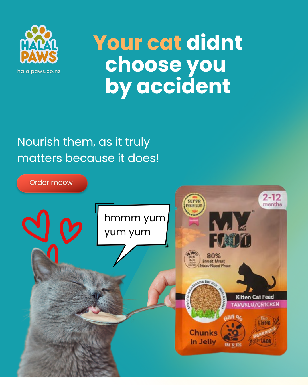 Your Cat Didn’t Choose You by Accident: The Blessing of Feline Companionship